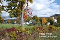 Starksboro, VT - Fall - Horizontal
